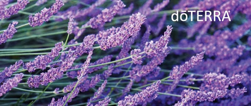 lavendel olie