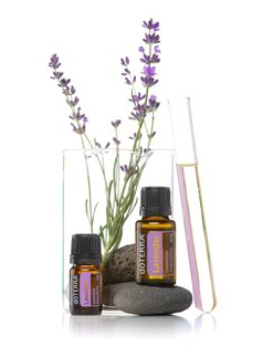 Lavendel