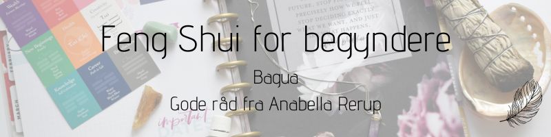 Feng Shui for begyndere Bagua
