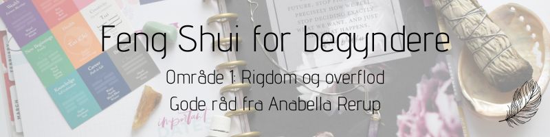 Feng Shui for begyndere omraade 1 rigdom