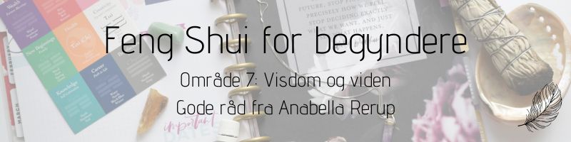 Visdom og viden